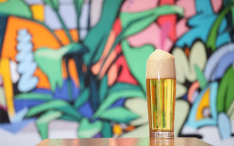 Alma Mader Brewing