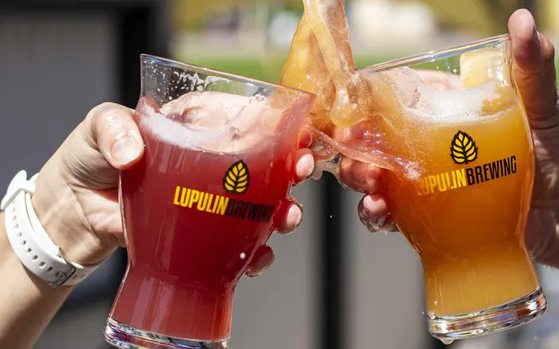 Lupulin Brewing photo