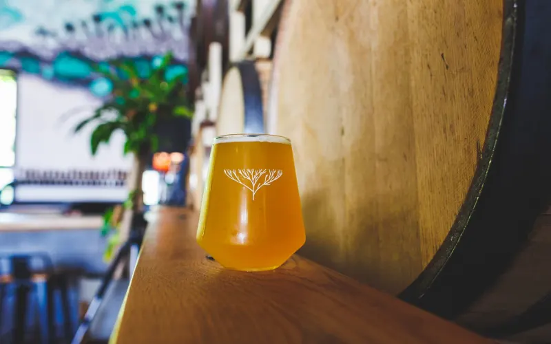 Speciation Artisan Ales photo