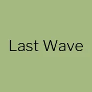 Last Wave Brewing Co logo