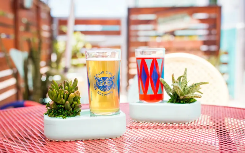 Blue Owl Brewing
