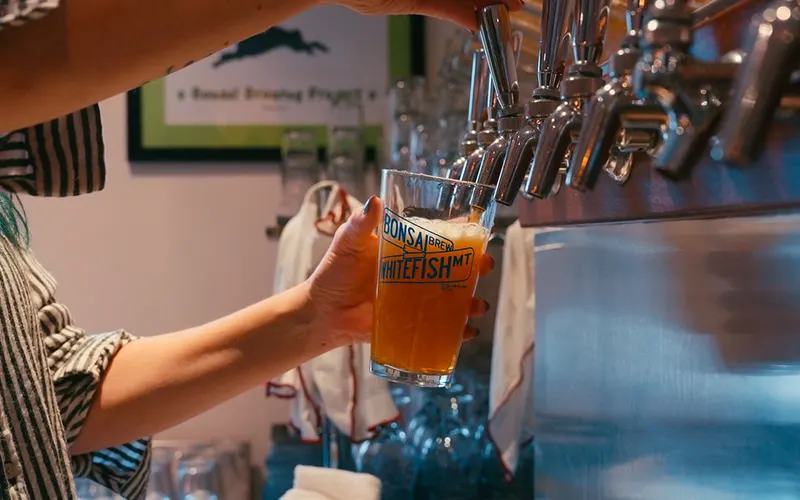 Bonsai Brewing Project