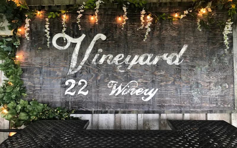 Monzula Farm Brewery / Vineyard 22 photo