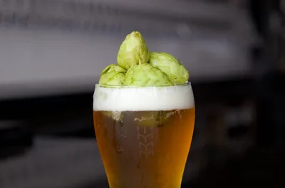 Mindful Brewing Company logo