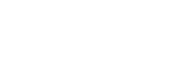 Pint 9 Brewing Co logo
