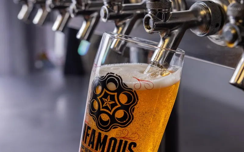 Infamous Brewing