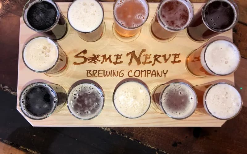 Some Nerve Brewing Company photo
