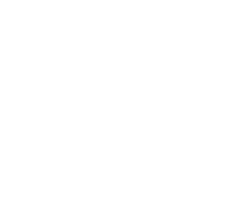 Mountain Toad Brewing logo