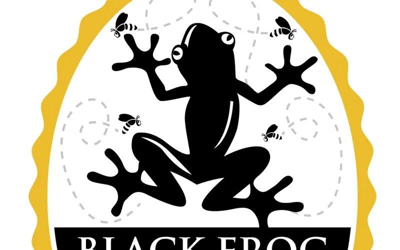 Black Frog Brewing Co photo