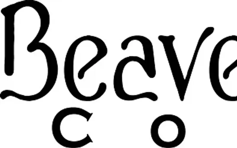 Beaver Brewing Co photo